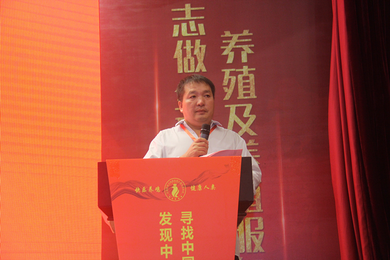 图片2_副本.png