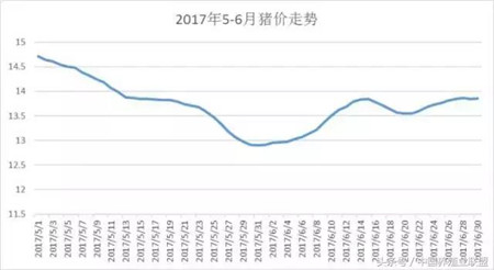 猪价下跌千万别恐慌！要赚钱就得这么做！