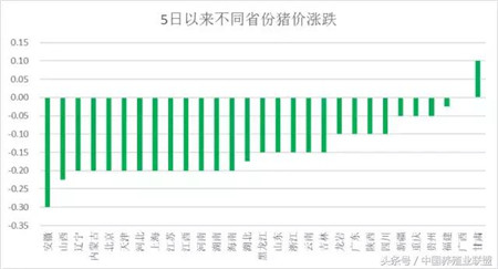 猪价下跌千万别恐慌！要赚钱就得这么做！