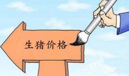 王中:猪价进入下行通道是大势,后期养猪人很困难?