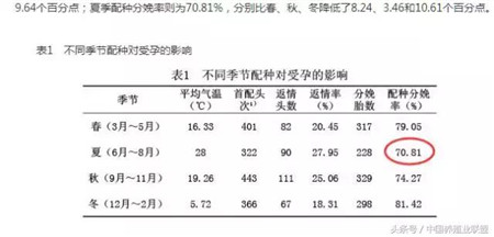 全年猪价自高点！为什么经常是夏季？