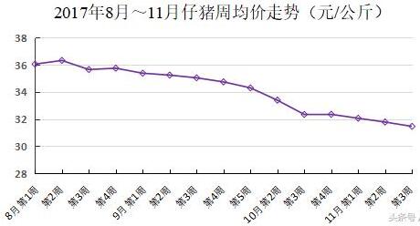 低温来临 12月猪价季节性回暖可期