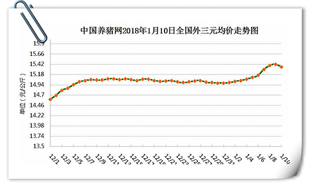 01月10日猪评:涨势戛然而止,保持理性避免错过好价