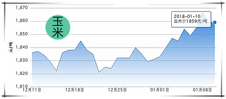 01月10日猪评：涨势戛然而止，保持理性避免错过好价