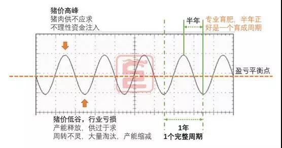 养猪如炒股,掌握这些,你就能价格低潮中扭亏为盈