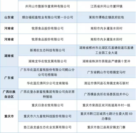 中国养猪网