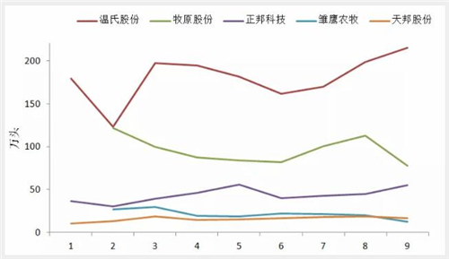 中国养猪网