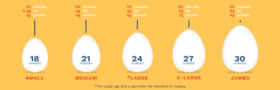 Sizing up. Размер куриного яйца. Large Egg Размеры. Размер куриного яйца в сантиметрах. Egg Mates Размеры.