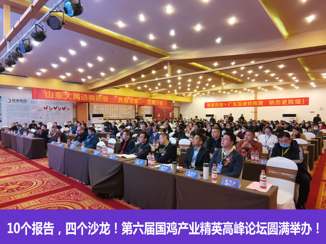 10个报告，四个沙龙！第六届国鸡产业精英高峰论坛圆满举办！