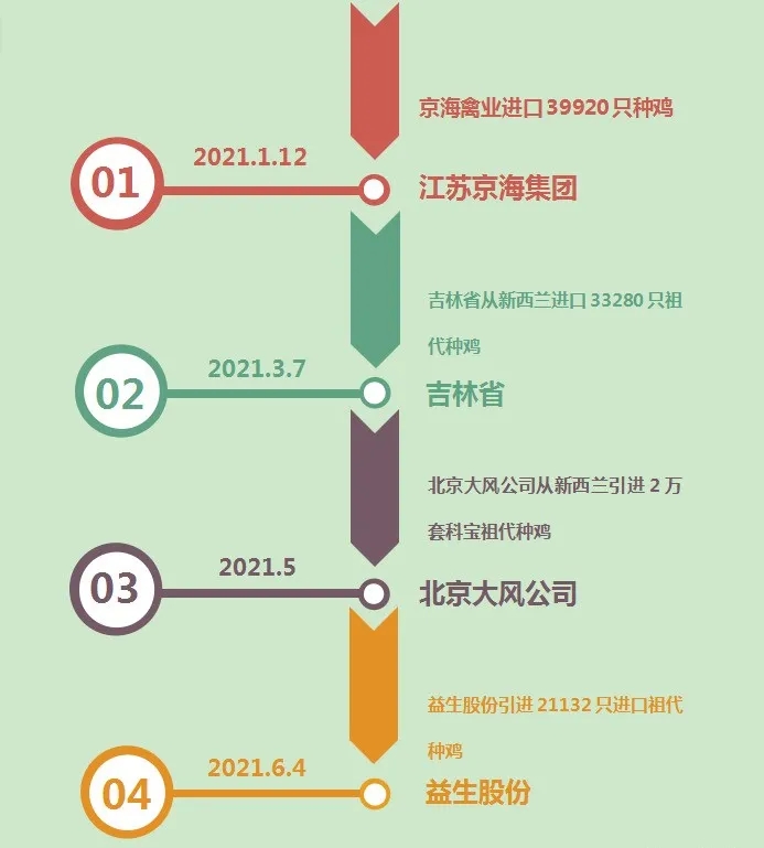 2021白羽肉种鸡祖代鸡引种大事记