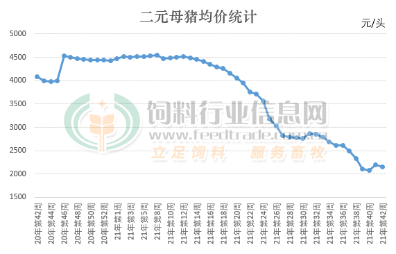 二元母猪价格.png