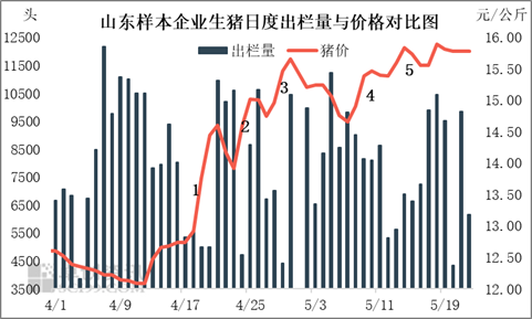 2022年5月31日养猪业重要信息汇总(图2)