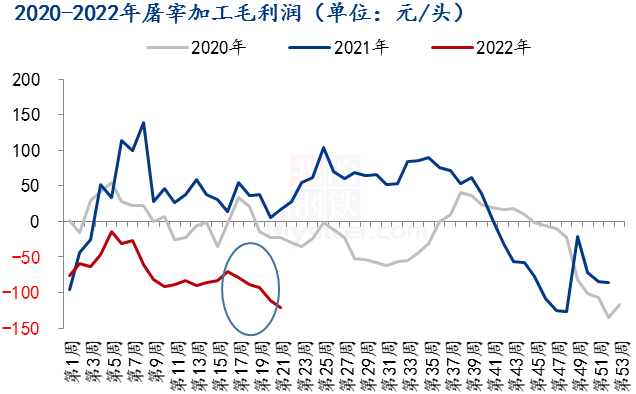 2022年5月31日养猪业重要信息汇总(图7)