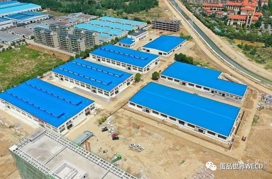 华中地区最大的蛋品交易中心即将完工(图1) 华中地区最大的蛋品交易中心即将完工(图1)