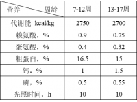 青年鸡不同阶段的营养设定