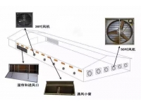 鸡舍风扇配置计算及通风注意事项