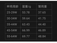 管好雏鸡5大关键点 | 第四点只有20%人知道，但最要紧！