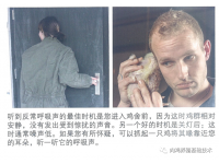 鸡群呼吸道怎么听？