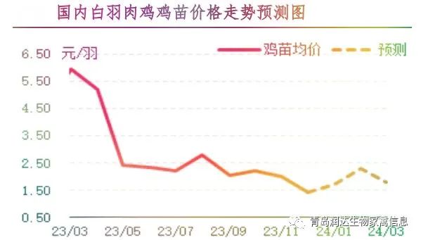 21.jpg 图片