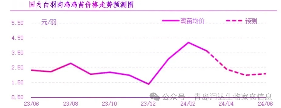 21.jpg 图片