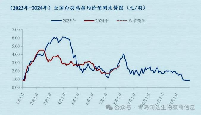 21.jpg 图片