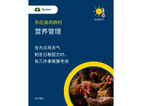 热应激鸡群的营养管理（一）