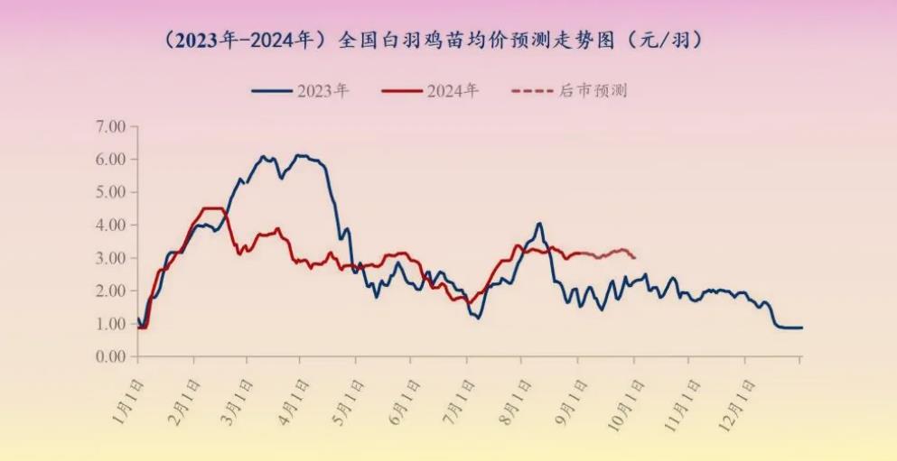 21.jpg 图片