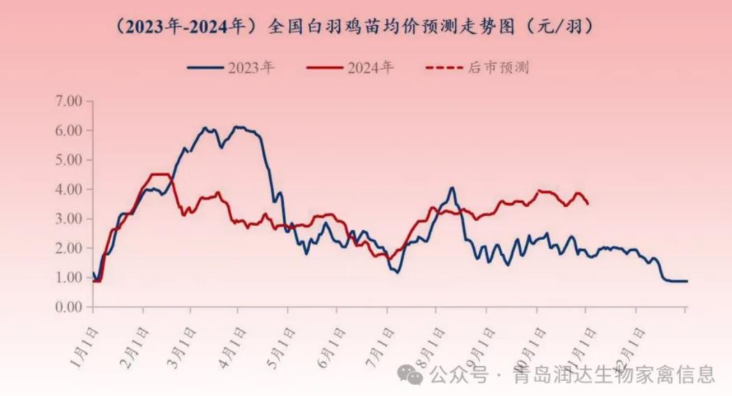 21.jpg 图片