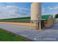 不同时间段通风管理要点及多发病分析