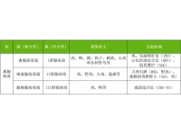 禽腺病毒的流行特点与发展趋势