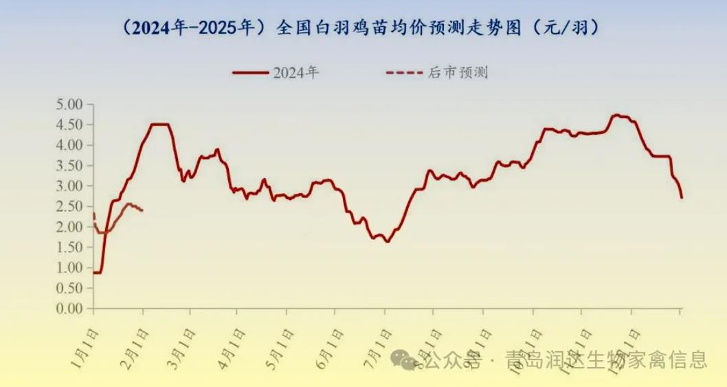 21.jpg 图片