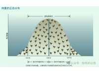提高雏鸡群均匀度，除了挑群，还有什么办法？