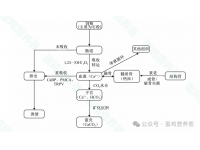 蛋壳形成的钙代谢机制及其影响因素