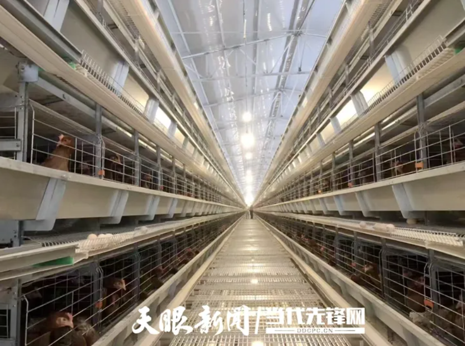 思南创辉.jpg