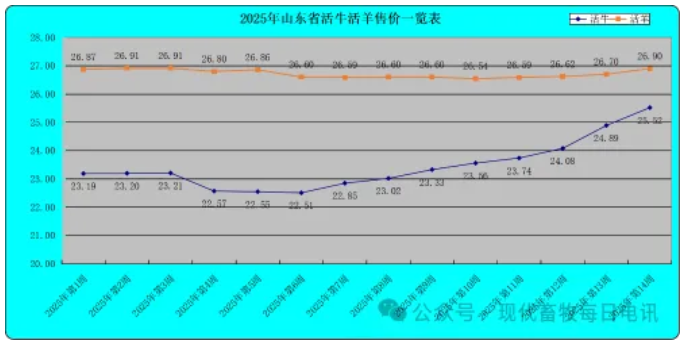 5.png 图片
