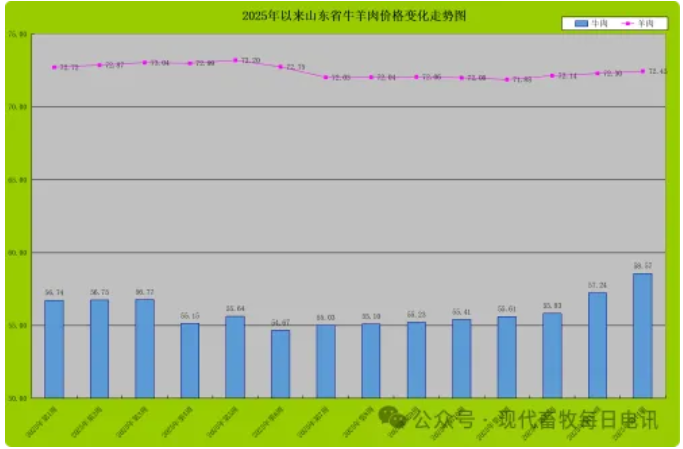 6.png 图片