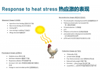 肉鸡出现应激的原因及应对方法