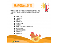热应激的危害