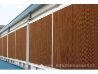 养殖场水帘长青苔？别慌，防治秘籍在此！