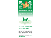 鸡痘活疫苗免疫方法和注意事项