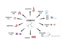 ​​甘氨酸在低蛋白蛋鸡日粮中的重要性​