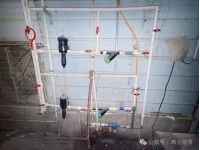 水线管理对鸡群的积极影响