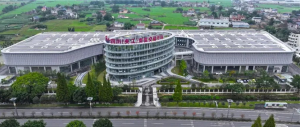 四川(夹江)禽蛋交易市场。夹江县融媒体中心供图