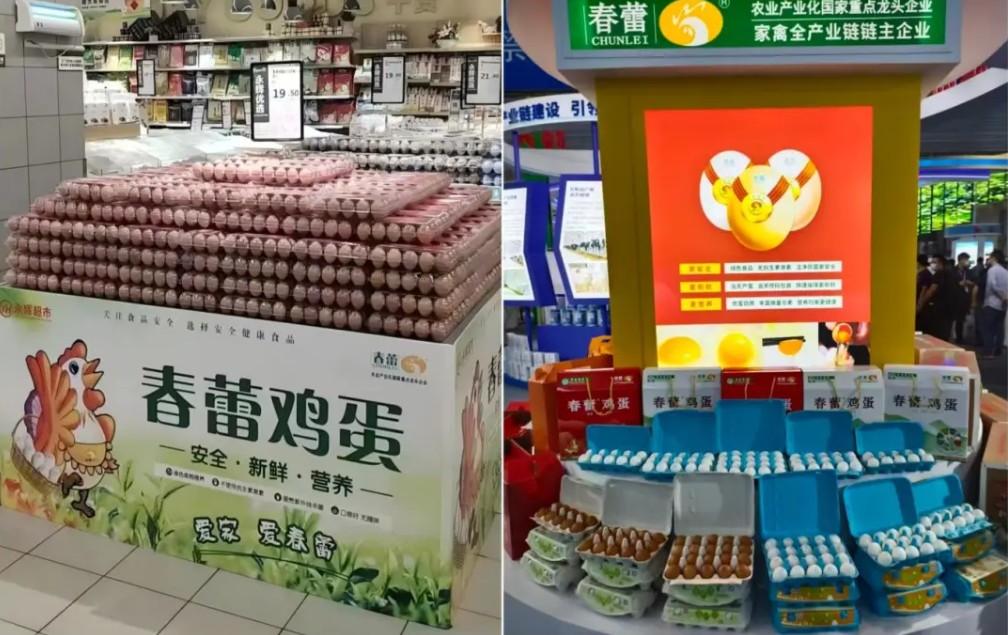 20251214145831761-1-45c90.jpg_scale_.jpg 20251214145831761-1-45c90.jpg_scale_.jpg