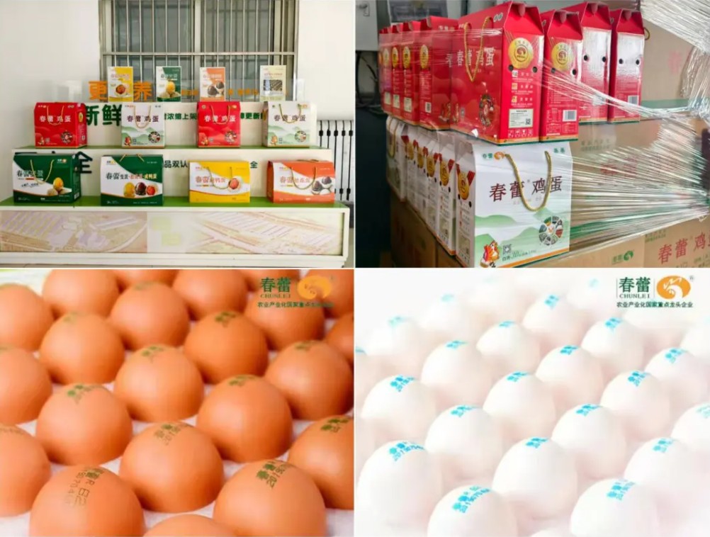 20251214143001603-74-4b9c7.jpg_scale_.jpg 20251214143001603-74-4b9c7.jpg_scale_.jpg