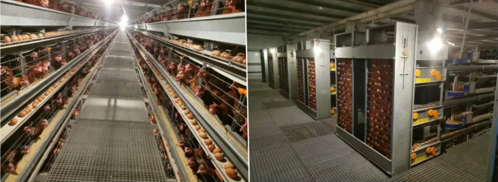 20251214143040187-64-521c1.jpg_scale_.jpg 20251214143040187-64-521c1.jpg_scale_.jpg