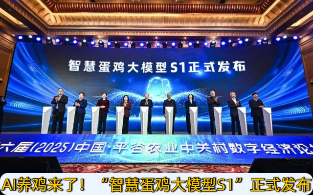 AI养鸡来了！“智慧蛋鸡大模型S1”正式发布