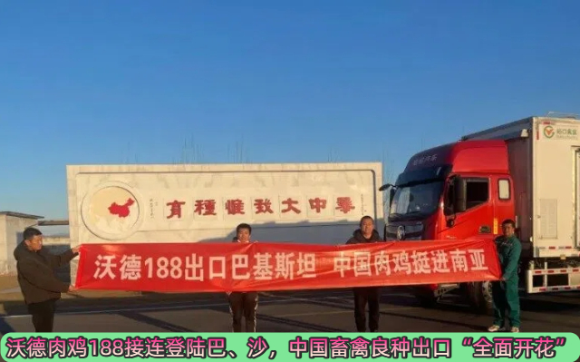 沃德肉鸡188接连登陆巴、沙，中国畜禽良种出口“全面开花”