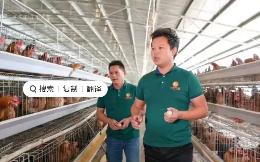 谢汝朋（右）返乡创业十年，始终扎根养殖一线。