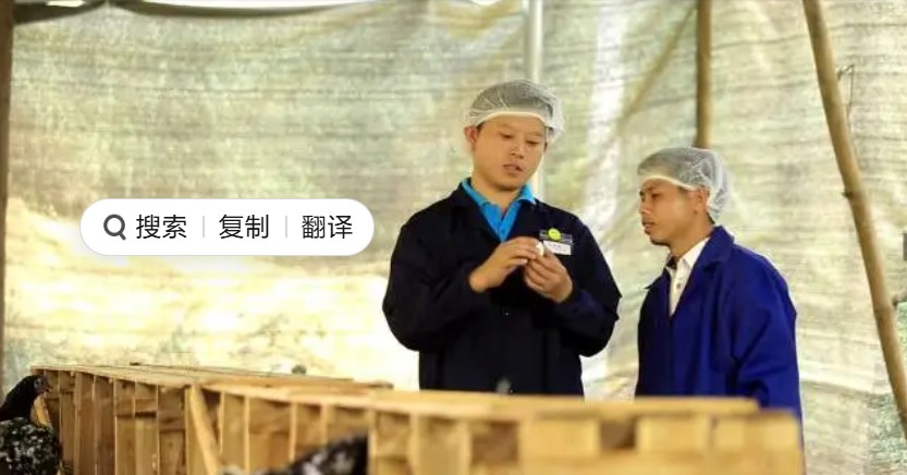 谢汝朋（左）是阳春市“小生花蛋”绿壳蛋鸡特色产业带头人。